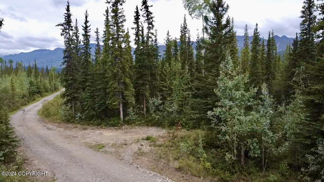 1327.6 B2 Alaska Highway Property Photo 19