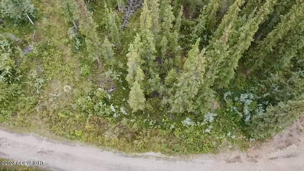 1327.6 B2 Alaska Highway Property Photo 20