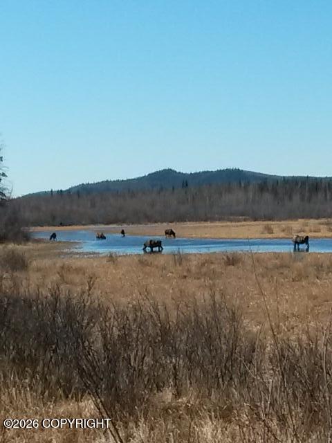 1327.6 B2 Alaska Highway Property Photo 39