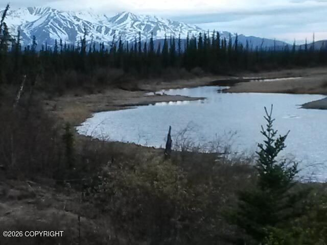 1327.6 B2 Alaska Highway Property Photo 45