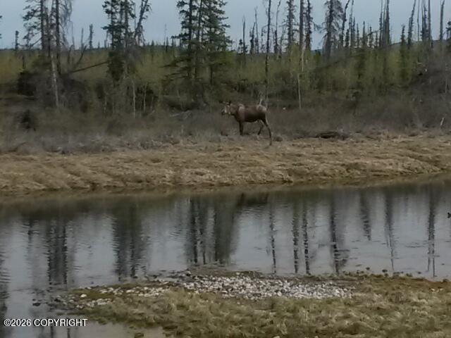 1327.6 B2 Alaska Highway Property Photo 46