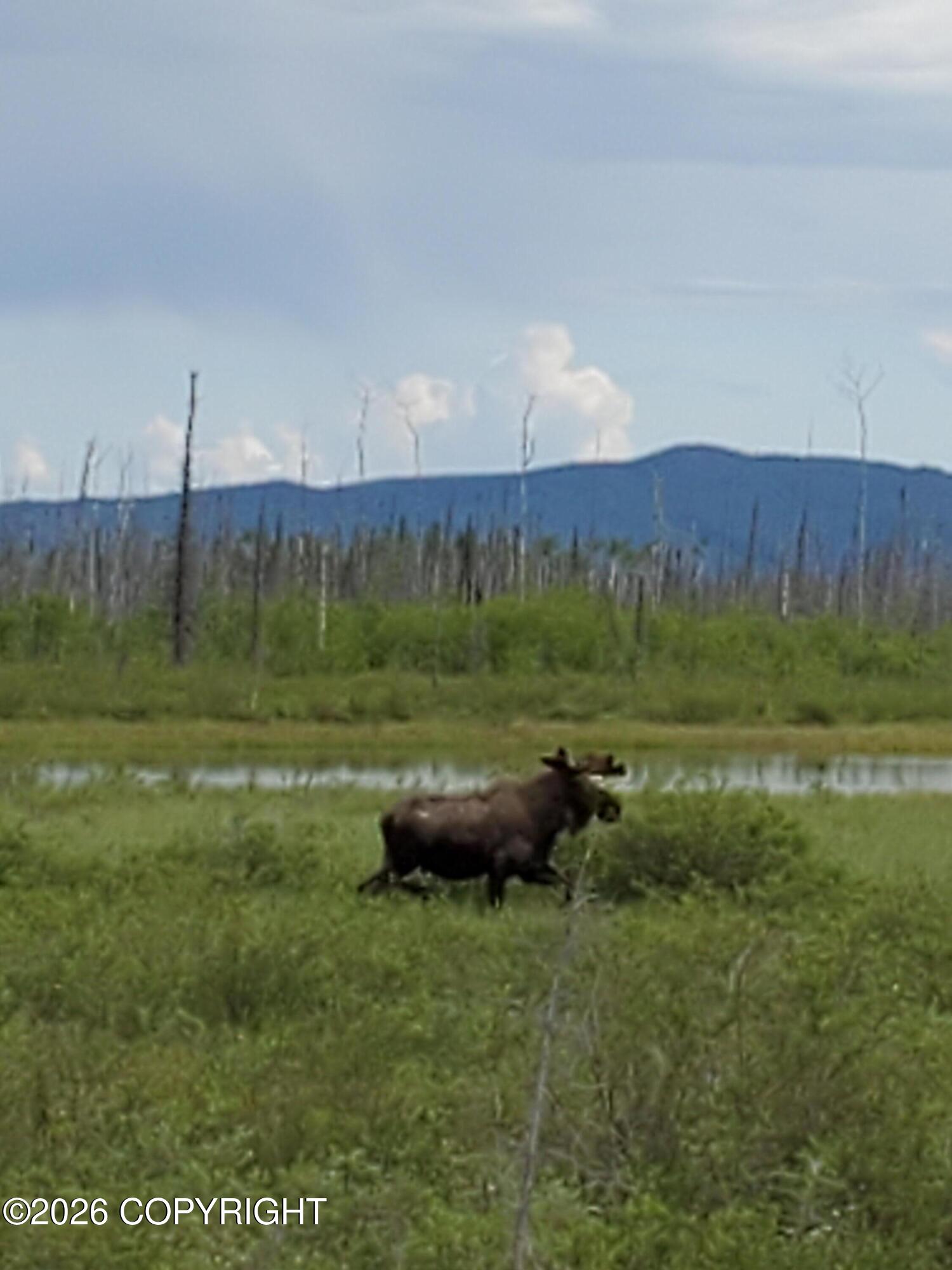 1327.6 B2 Alaska Highway Property Photo 55
