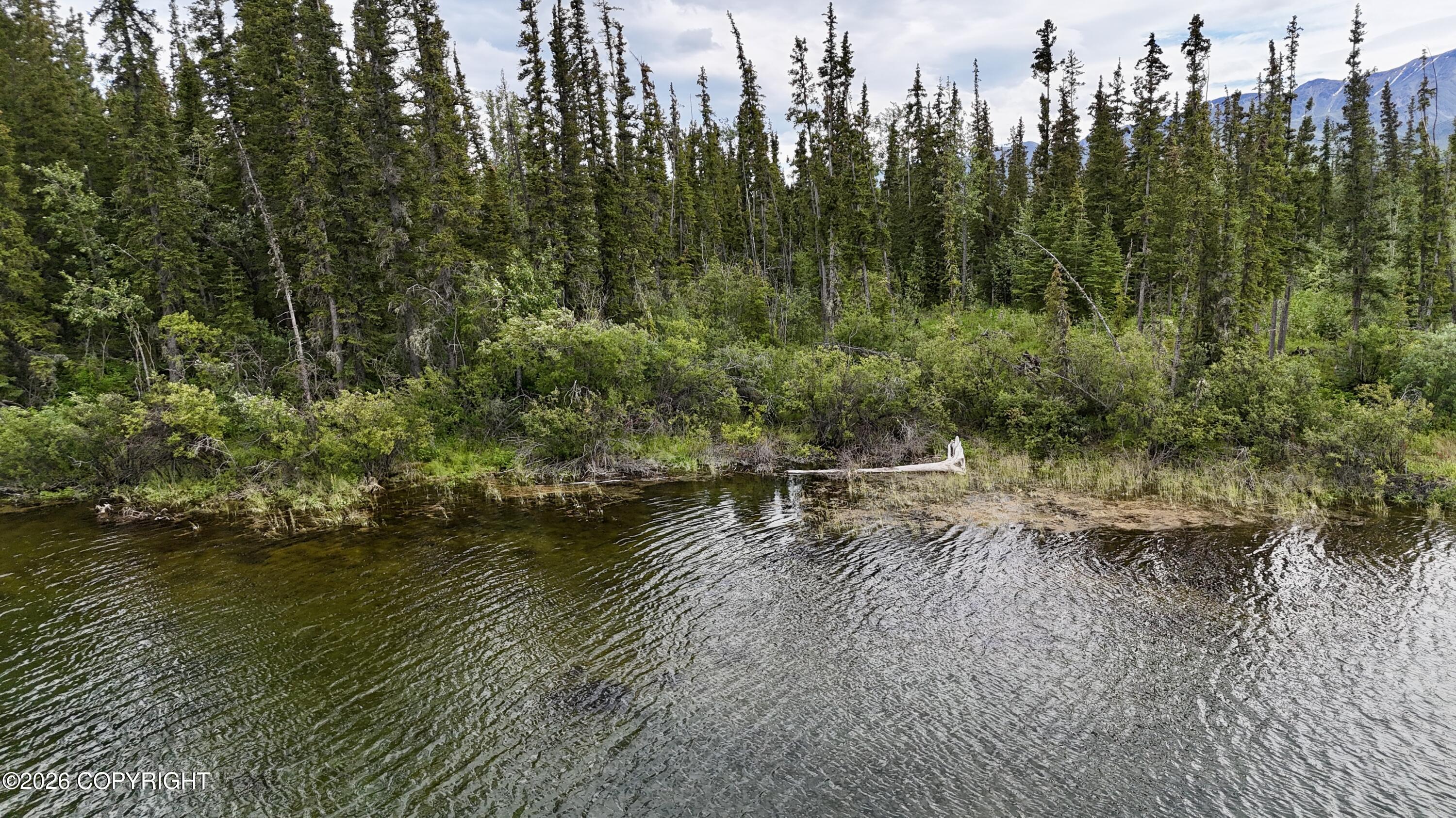 1327.6 B2 Alaska Highway Property Photo 63