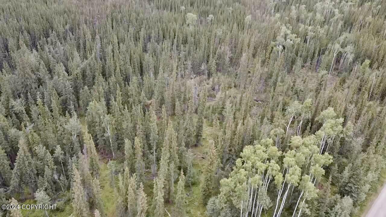 1327.6 B3 Alaska Highway Property Photo 8