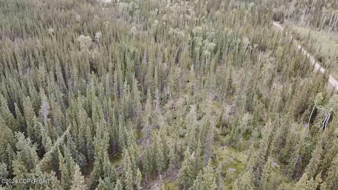 1327.6 B3 Alaska Highway Property Photo 9