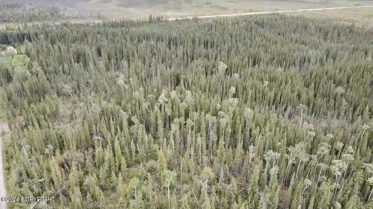 1327.6 B3 Alaska Highway Property Photo 12