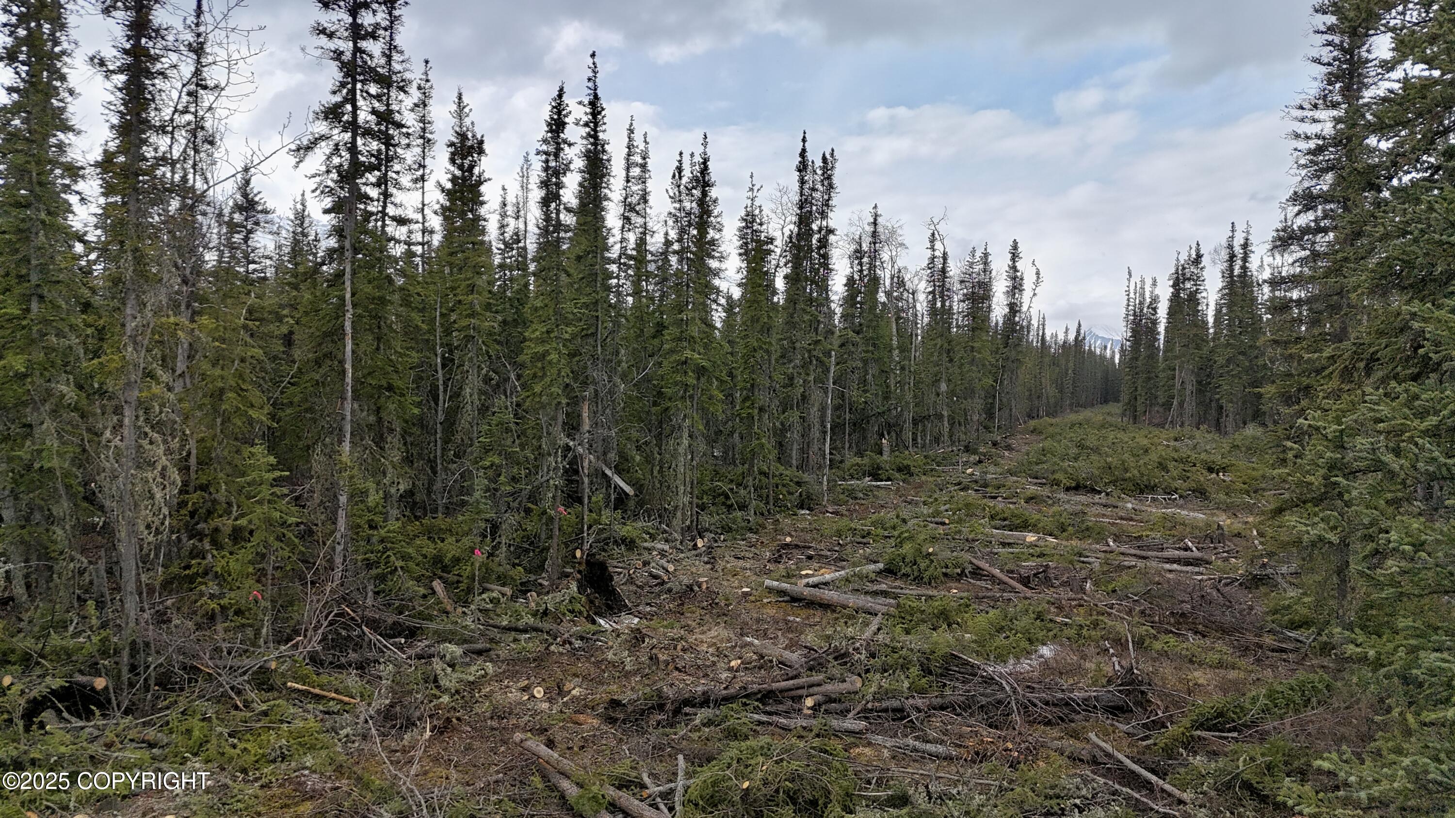 1327.6 B3 Alaska Highway Property Photo 19