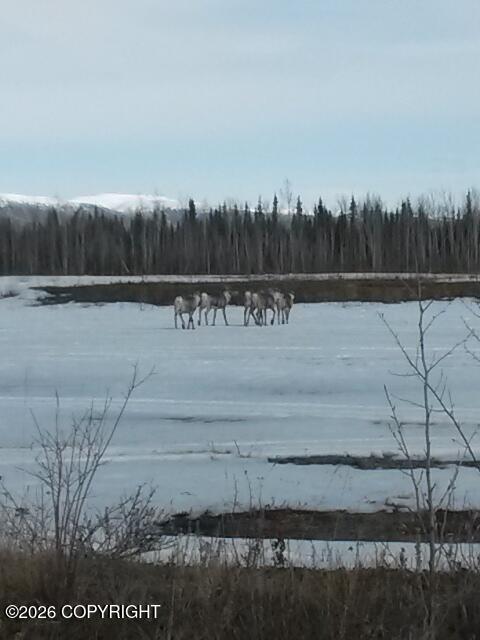 1327.6 B3 Alaska Highway Property Photo 28