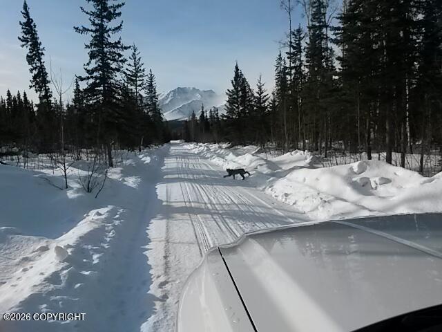 1327.6 B3 Alaska Highway Property Photo 39