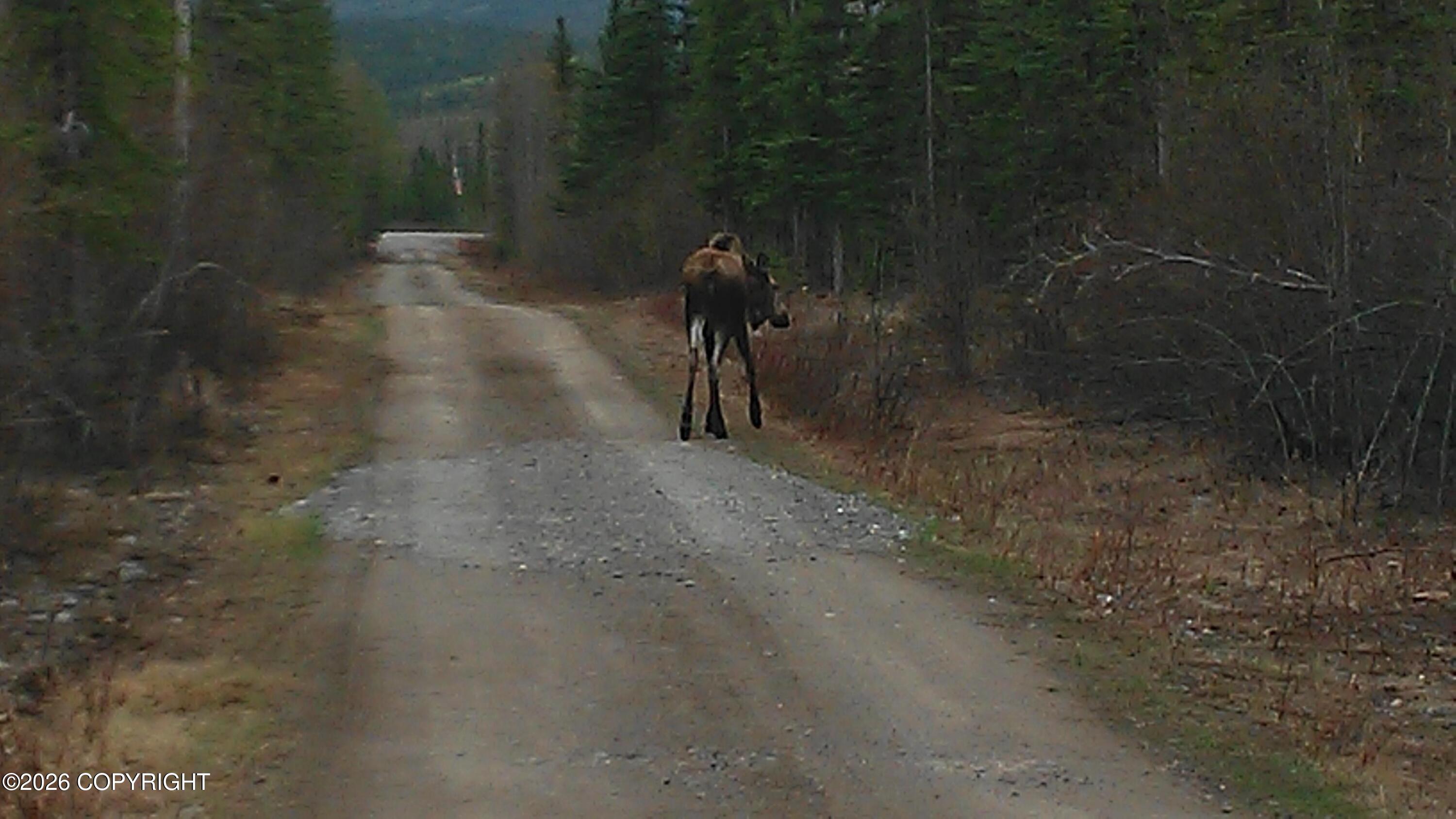 1327.6 B3 Alaska Highway Property Photo 41