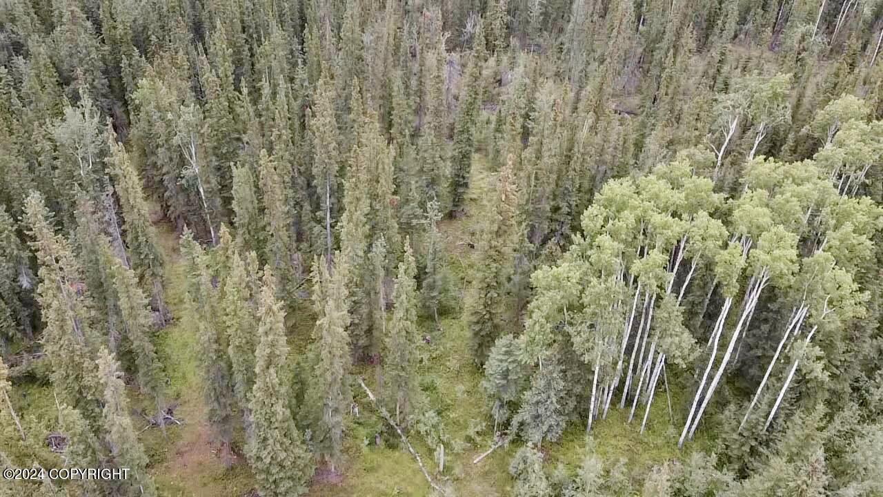 1327.6 B4 Alaska Highway Property Photo 3