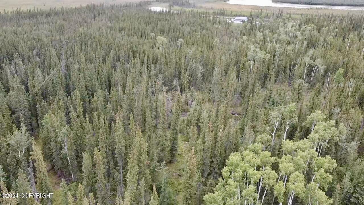 1327.6 B4 Alaska Highway Property Photo 6