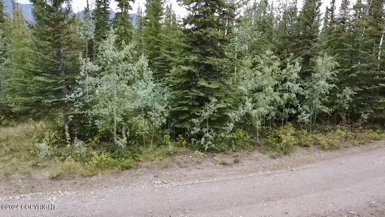 1327.6 B4 Alaska Highway Property Photo 18