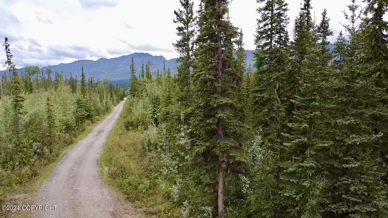 1327.6 B4 Alaska Highway Property Photo 19