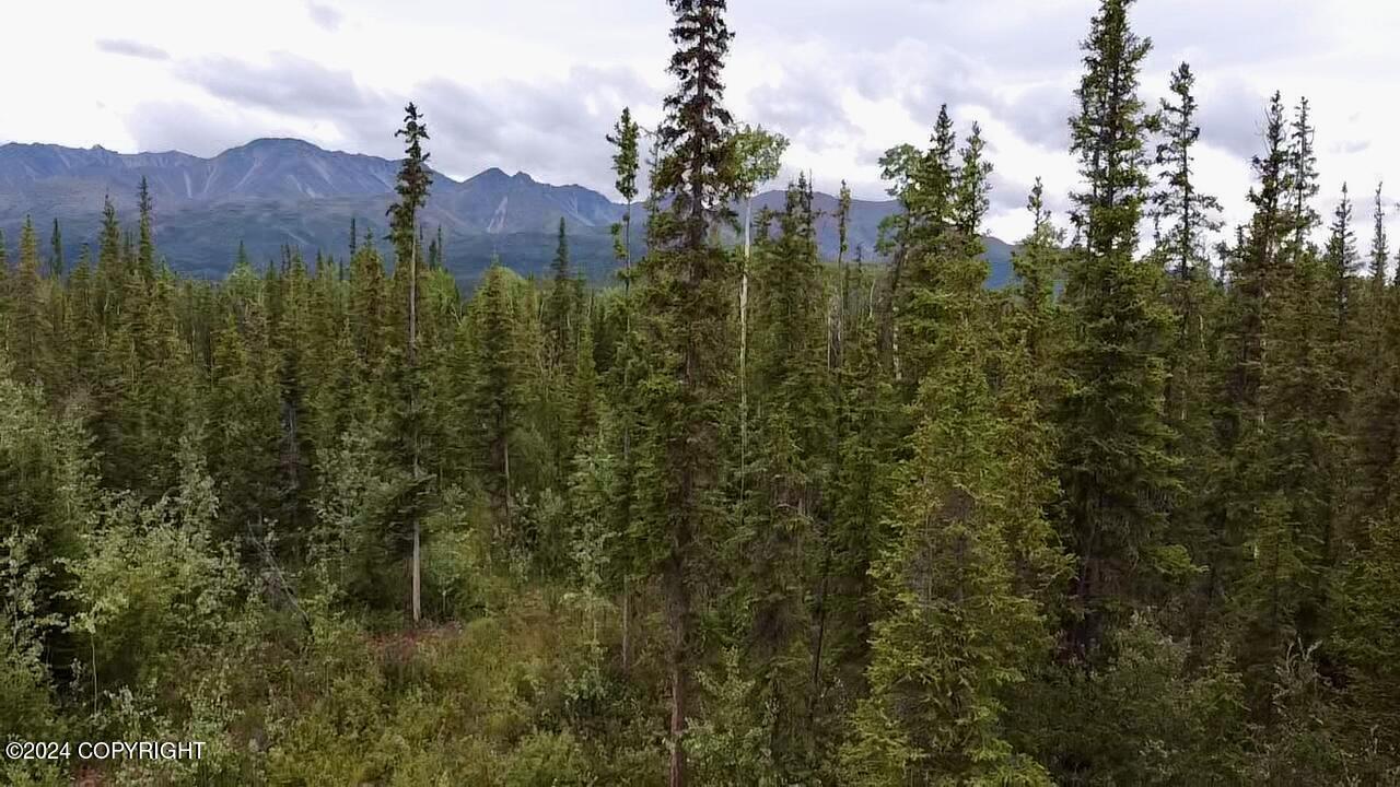 1327.6 B4 Alaska Highway Property Photo 22