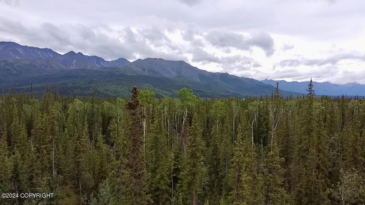 1327.6 B4 Alaska Highway Property Photo 25