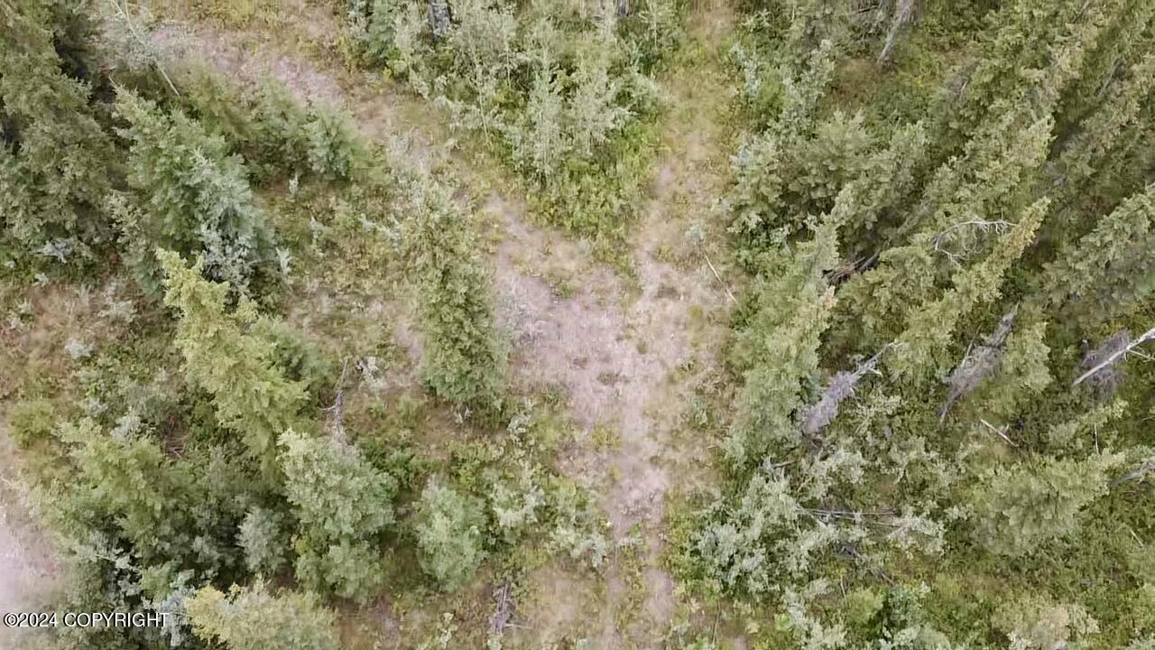1327.6 B4 Alaska Highway Property Photo 27