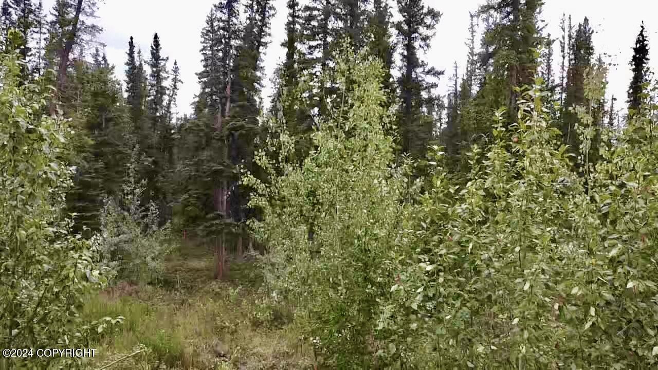 1327.6 B4 Alaska Highway Property Photo 28