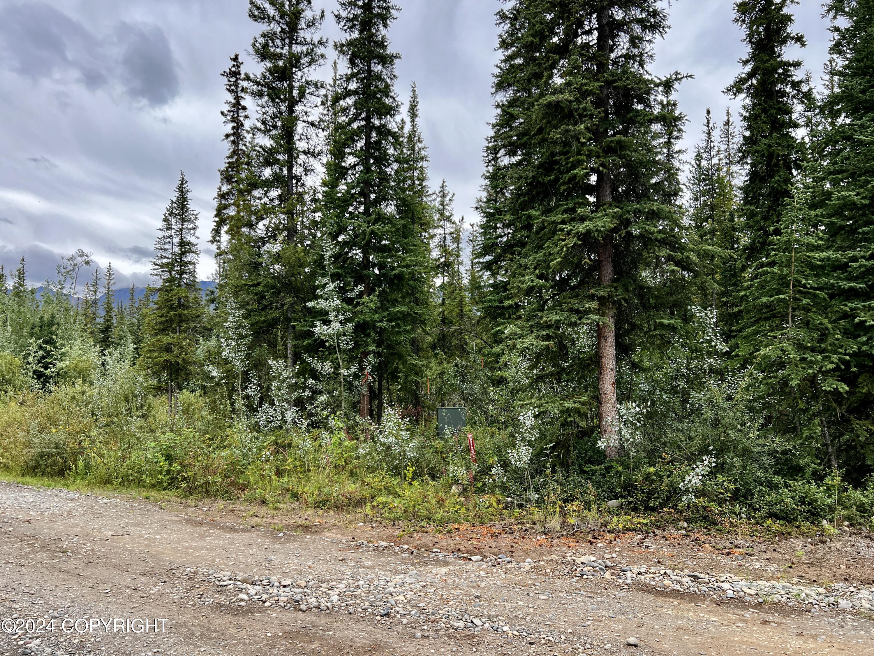 1327.6 B4 Alaska Highway Property Photo 31