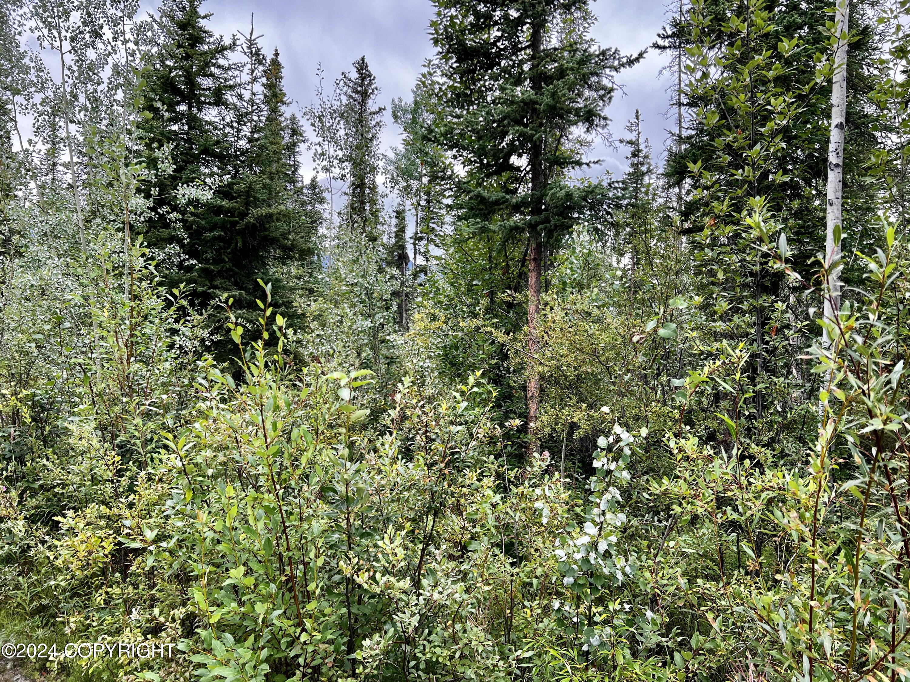 1327.6 B4 Alaska Highway Property Photo 32