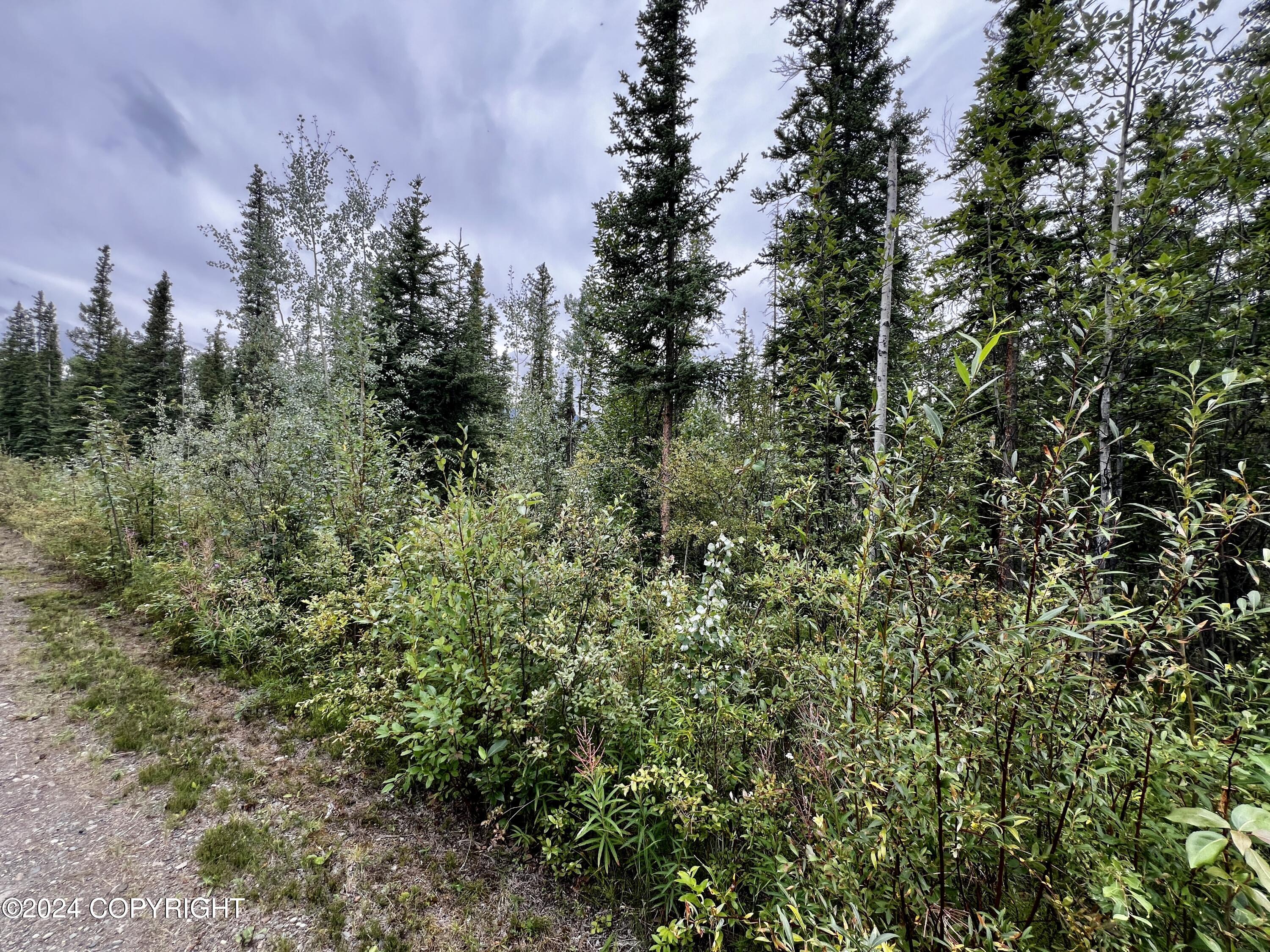 1327.6 B4 Alaska Highway Property Photo 33