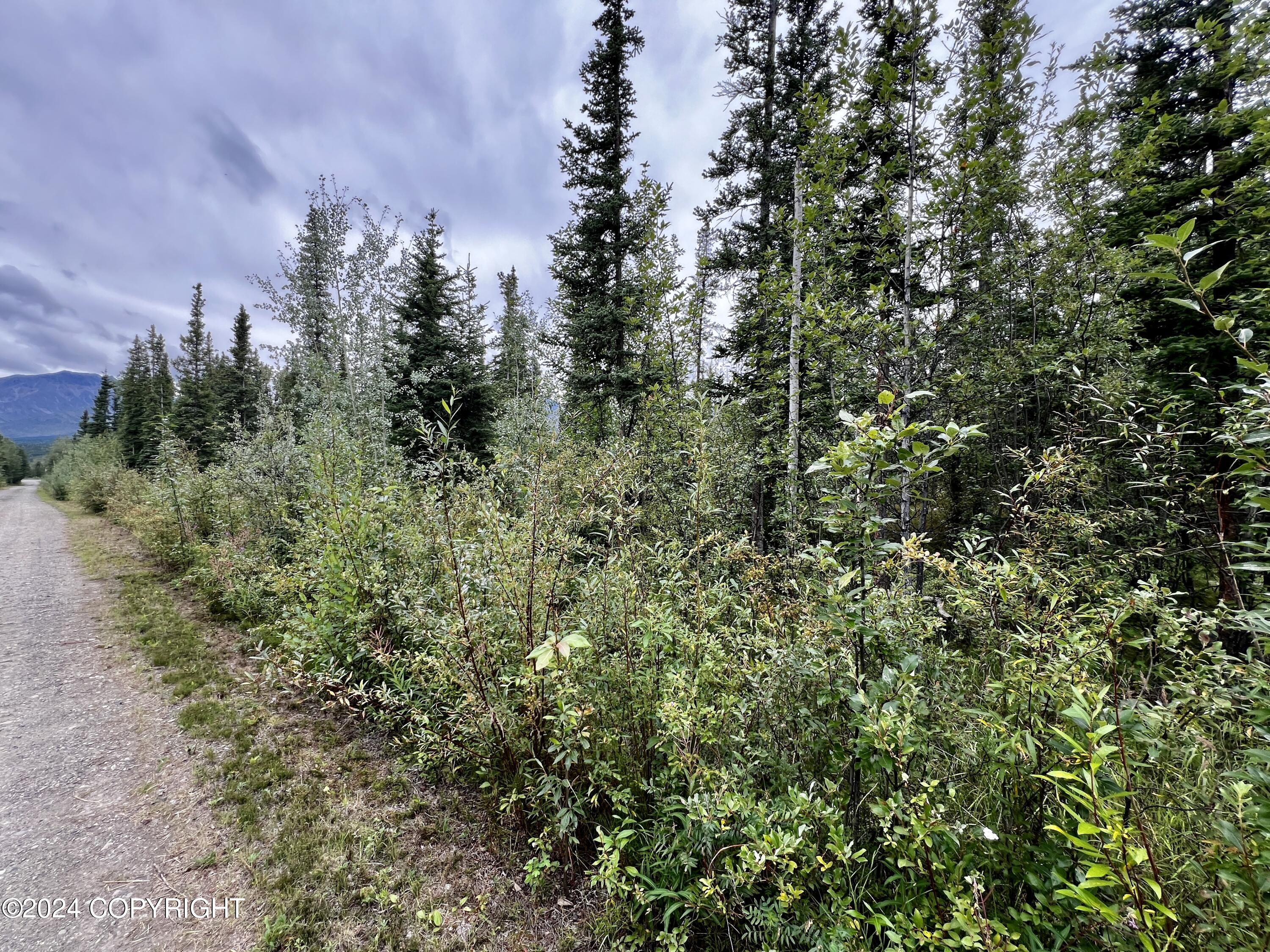 1327.6 B4 Alaska Highway Property Photo 34
