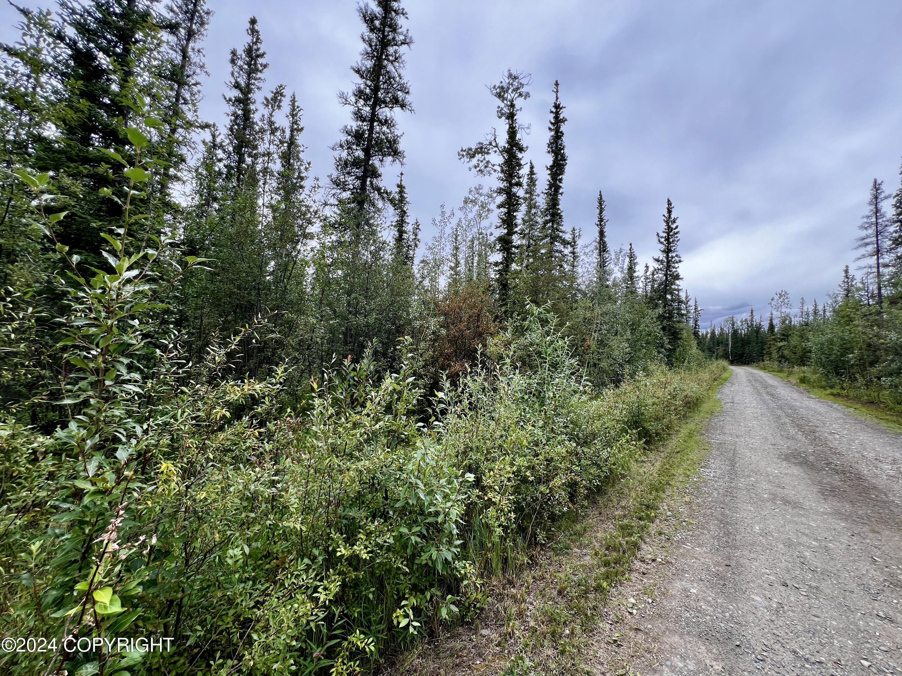 1327.6 B4 Alaska Highway Property Photo 35