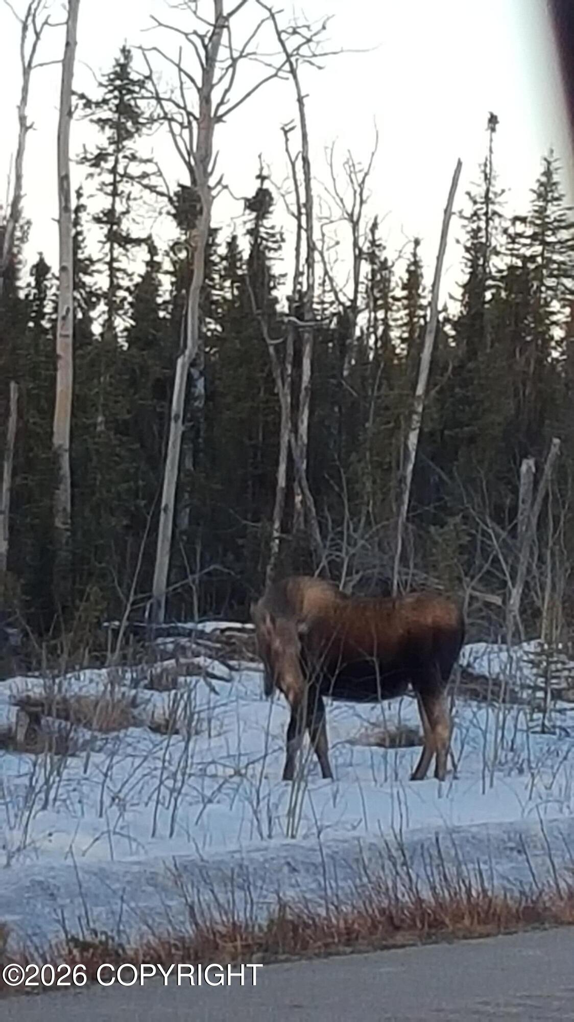 1327.6 B4 Alaska Highway Property Photo 43