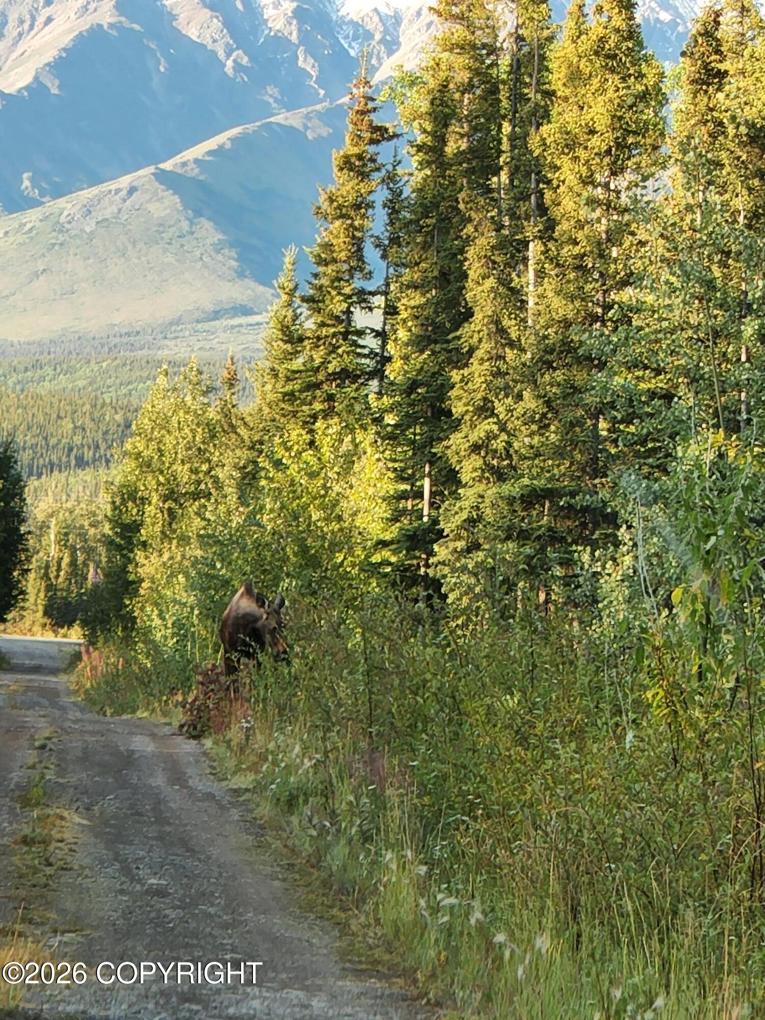 1327.6 B4 Alaska Highway Property Photo 60