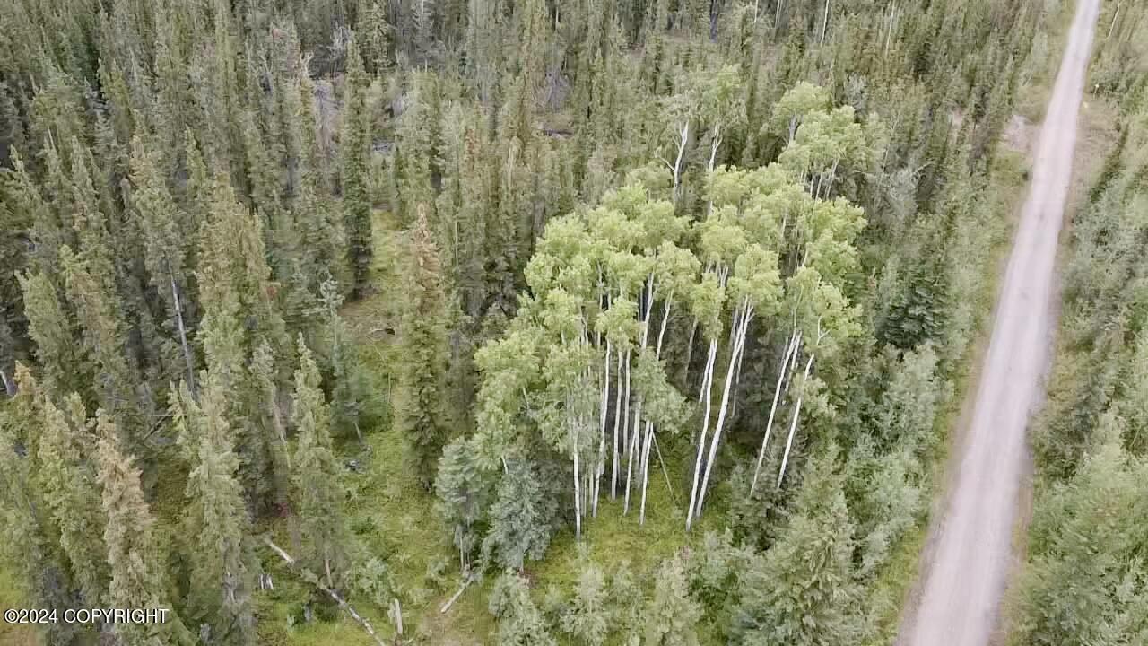 1327.6 B5 Alaska Highway Property Photo 5