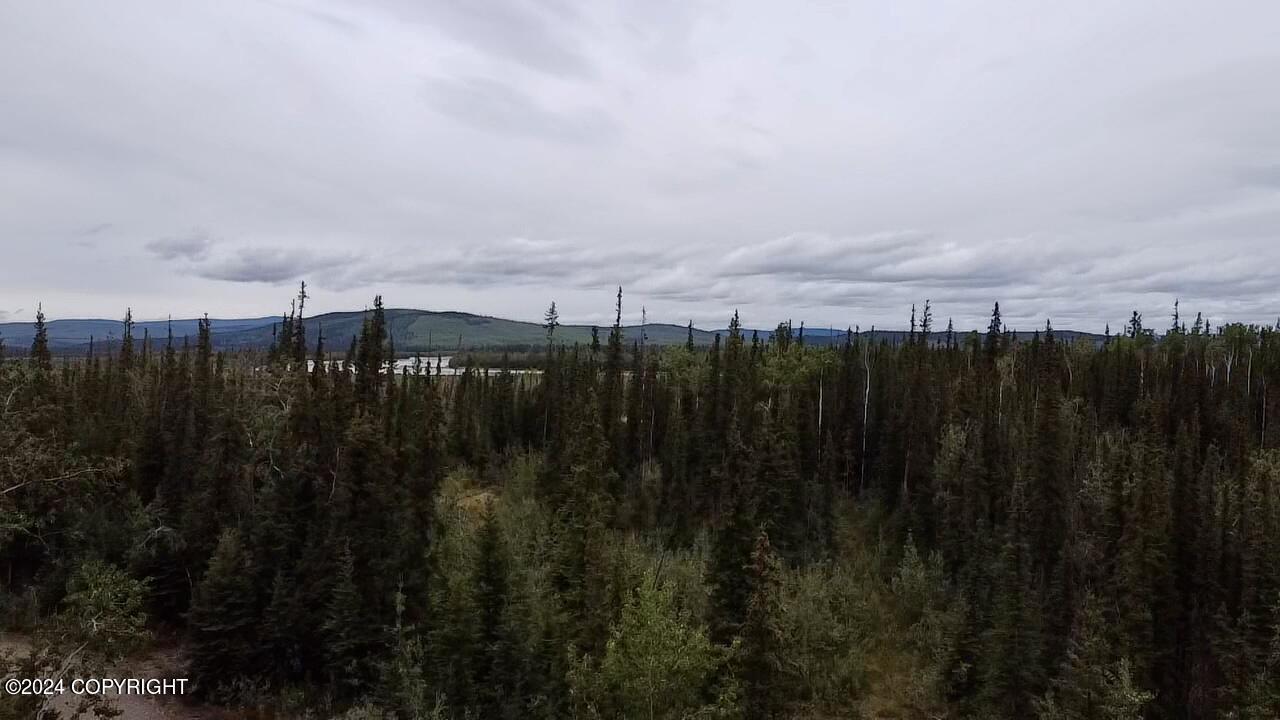 1327.6 B5 Alaska Highway Property Photo 11