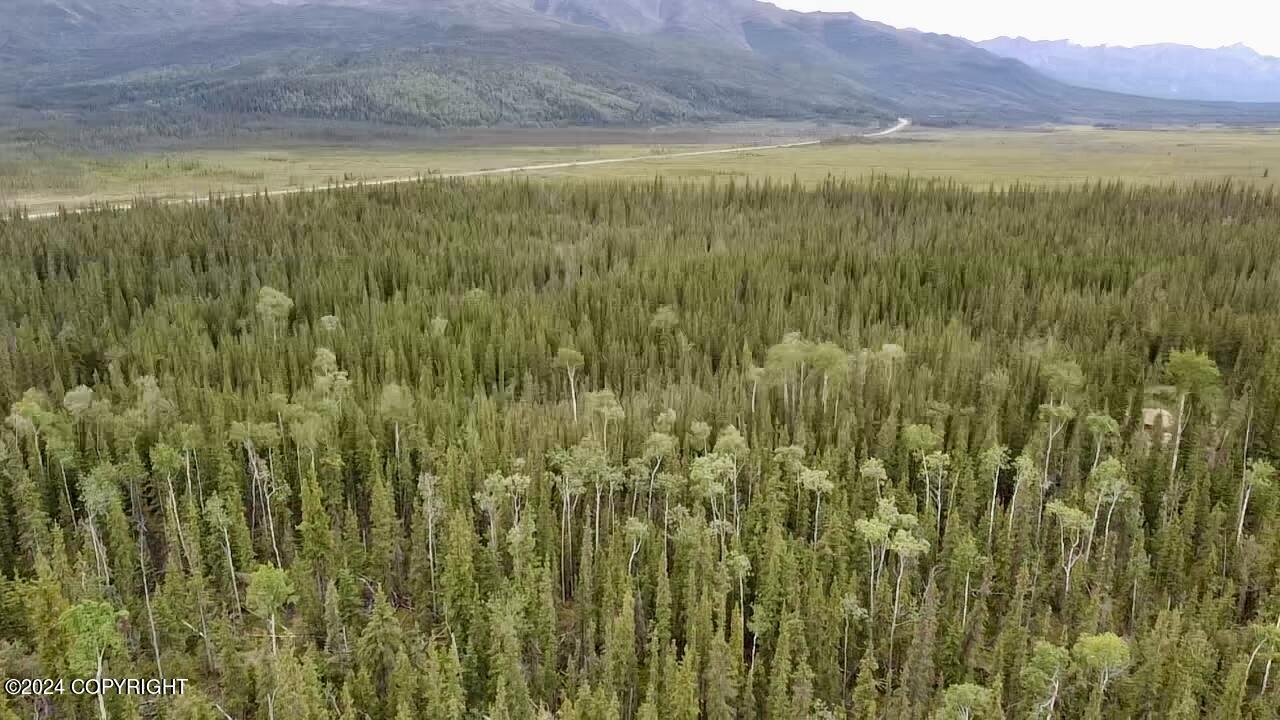1327.6 B5 Alaska Highway Property Photo 12