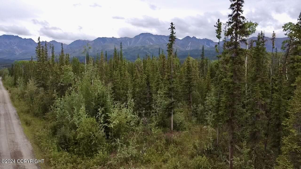 1327.6 B5 Alaska Highway Property Photo 22