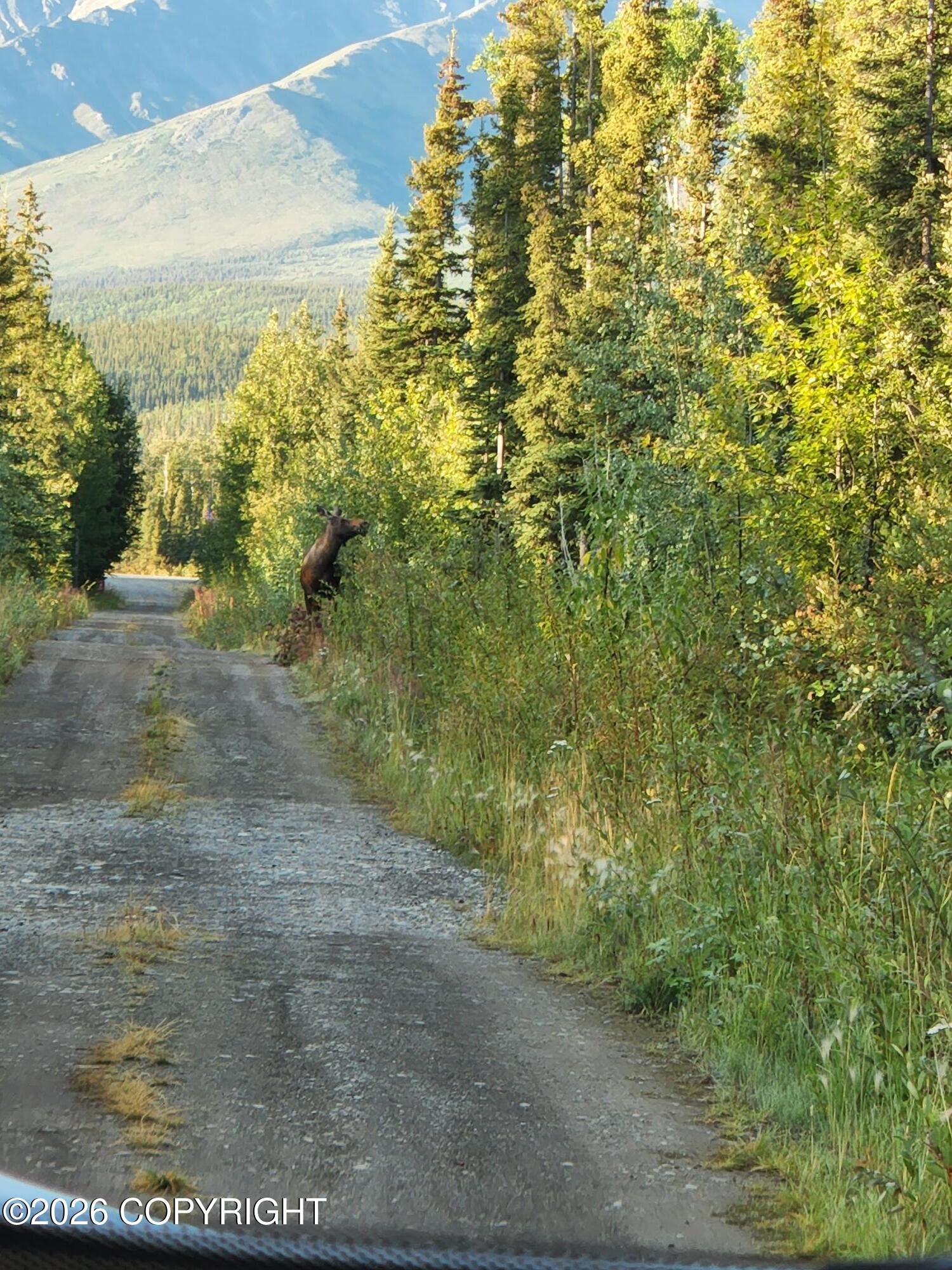 1327.6 B5 Alaska Highway Property Photo 48