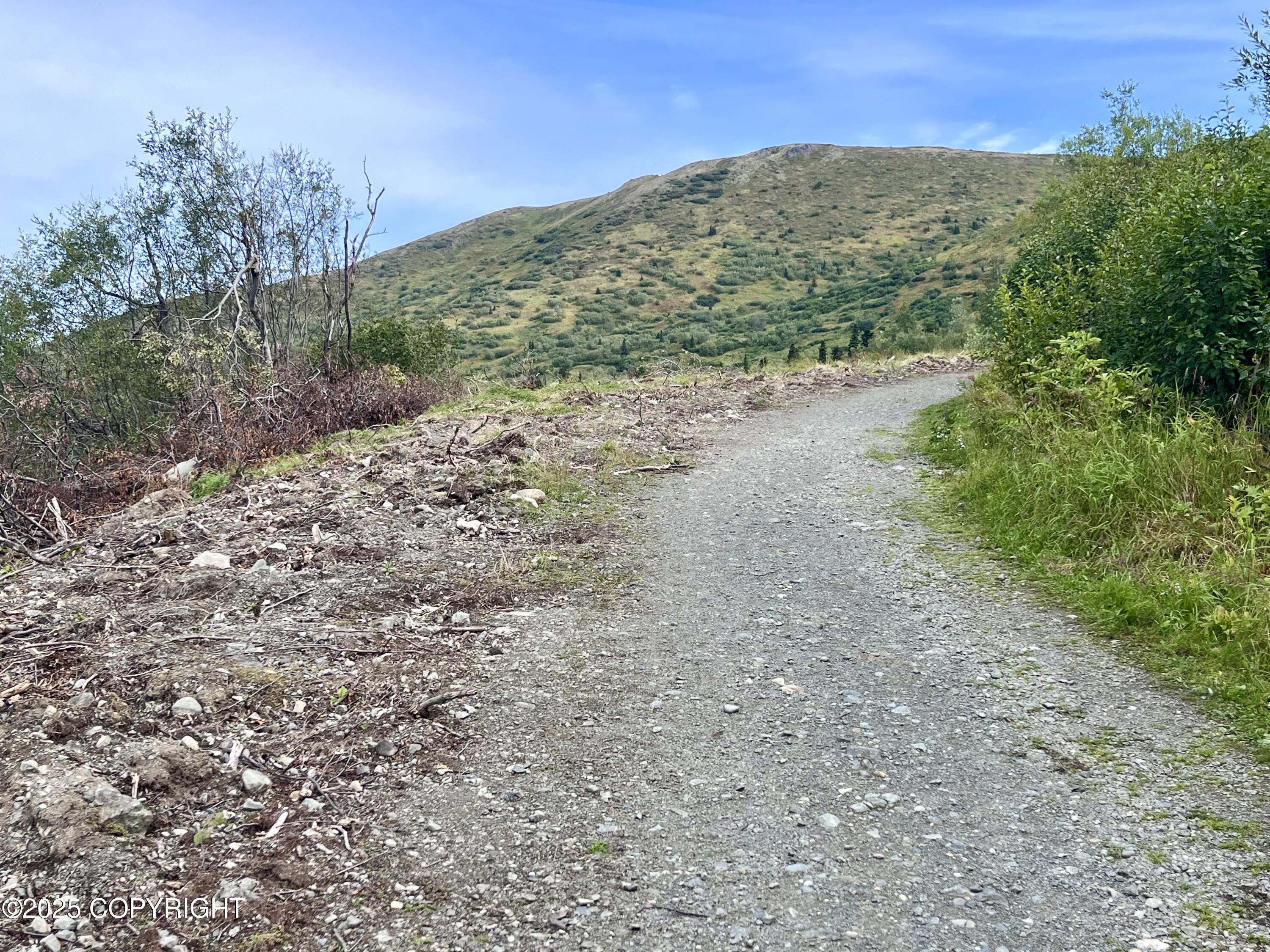 Nhn Wallace Mountain Road Property Photo 6