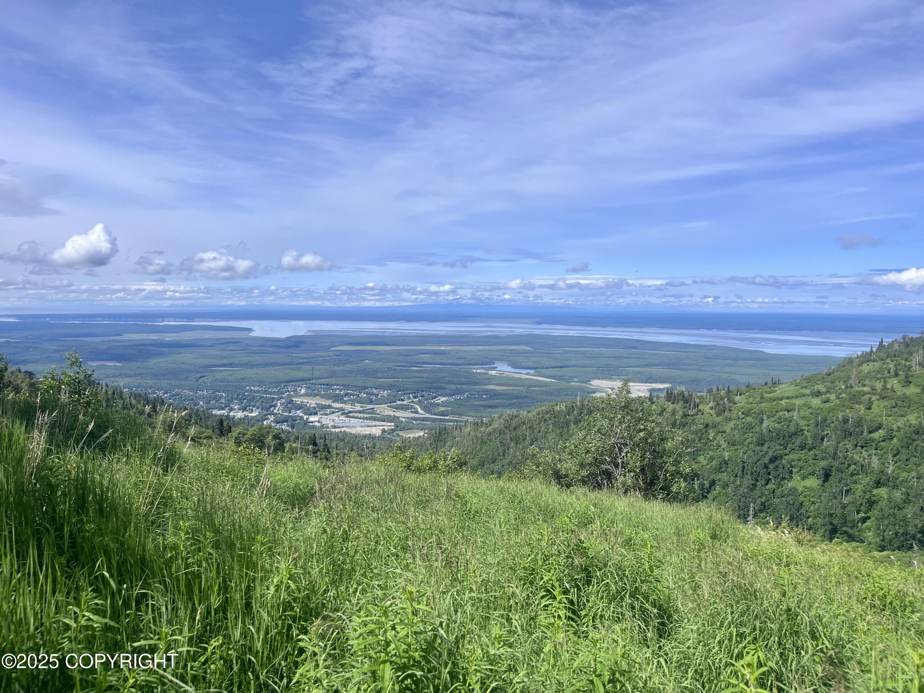 Nhn Wallace Mountain Road Property Photo 17