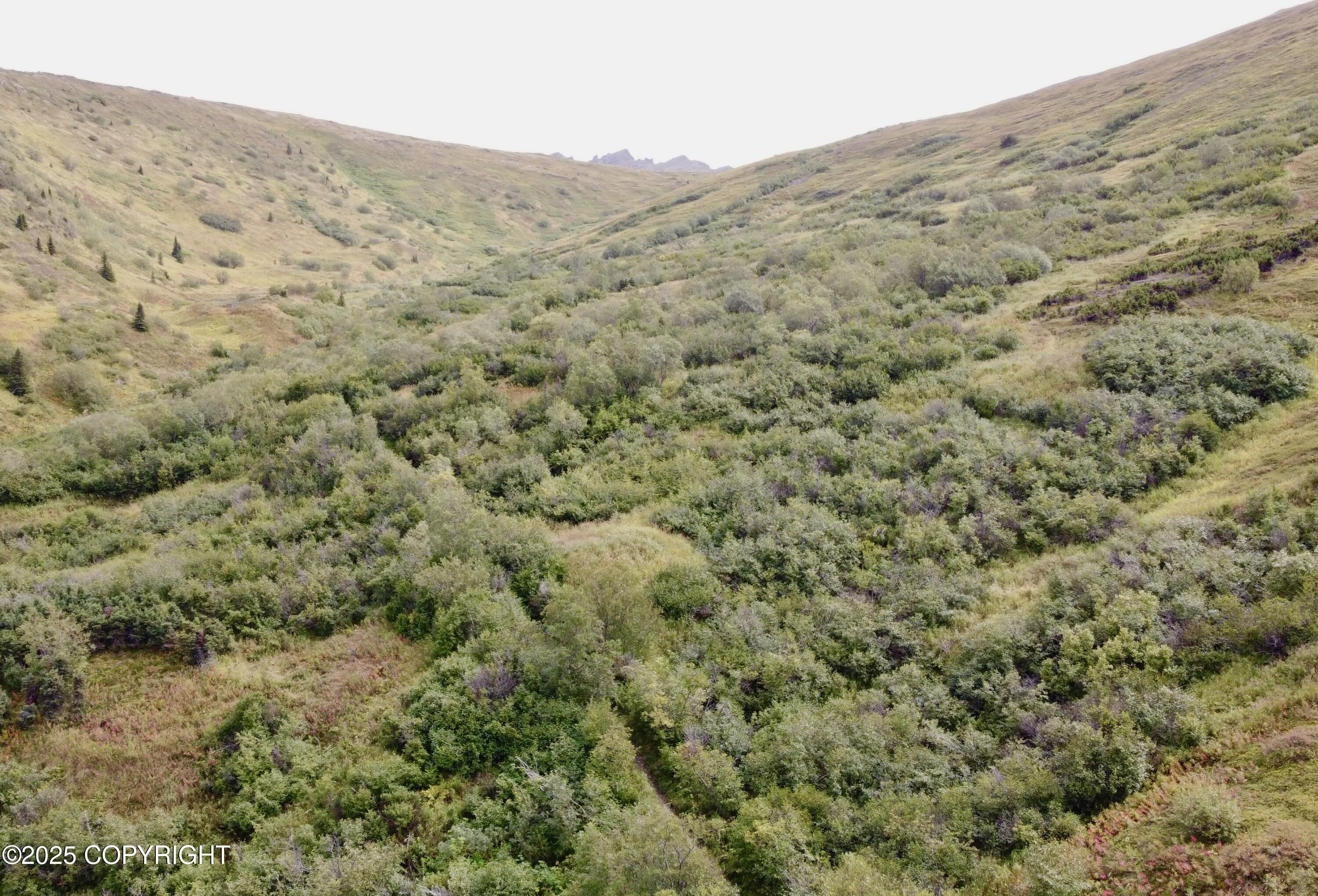 Nhn Wallace Mountain Road Property Photo 25