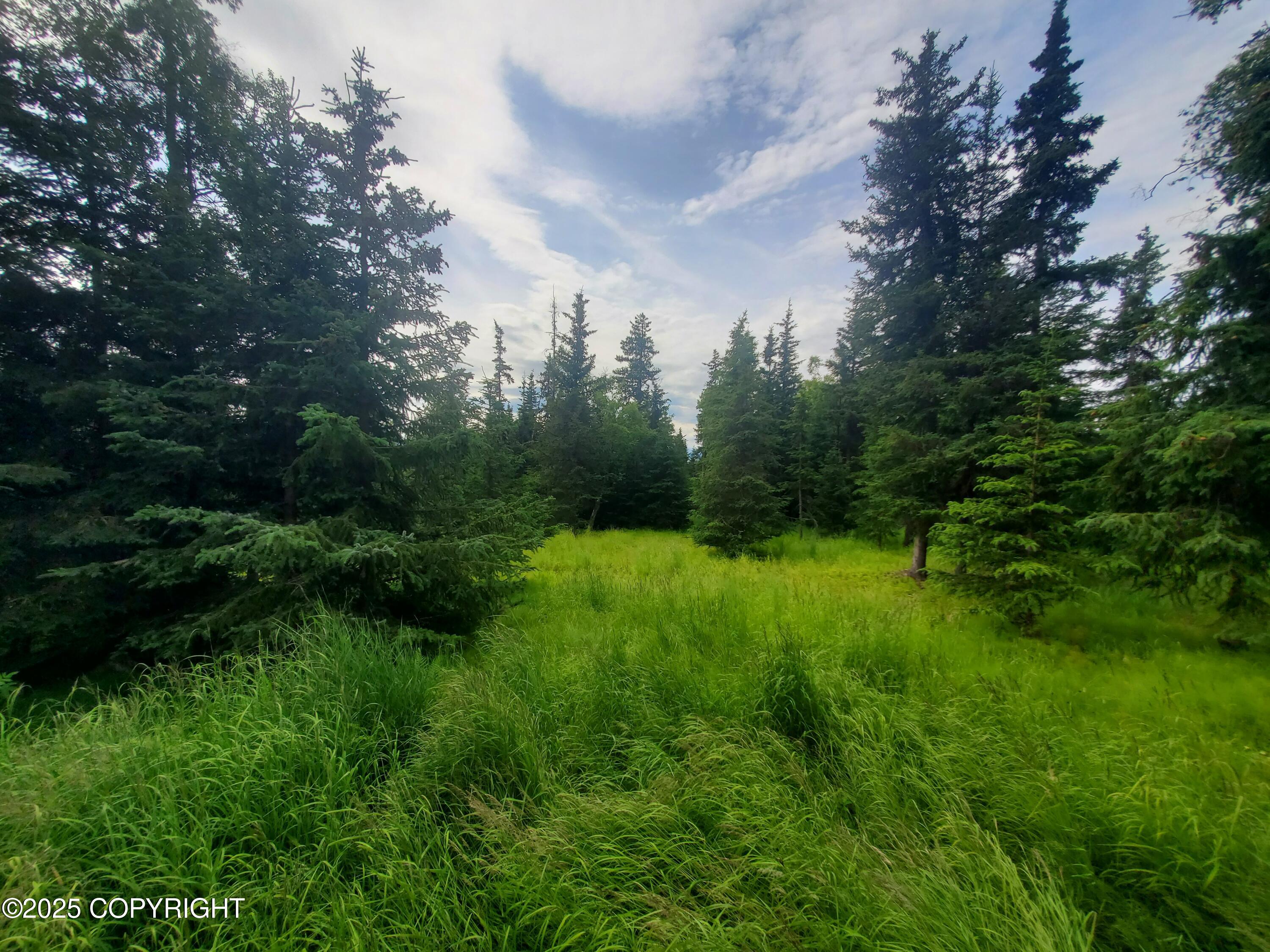 38185 Chelsey Street Property Photo 45