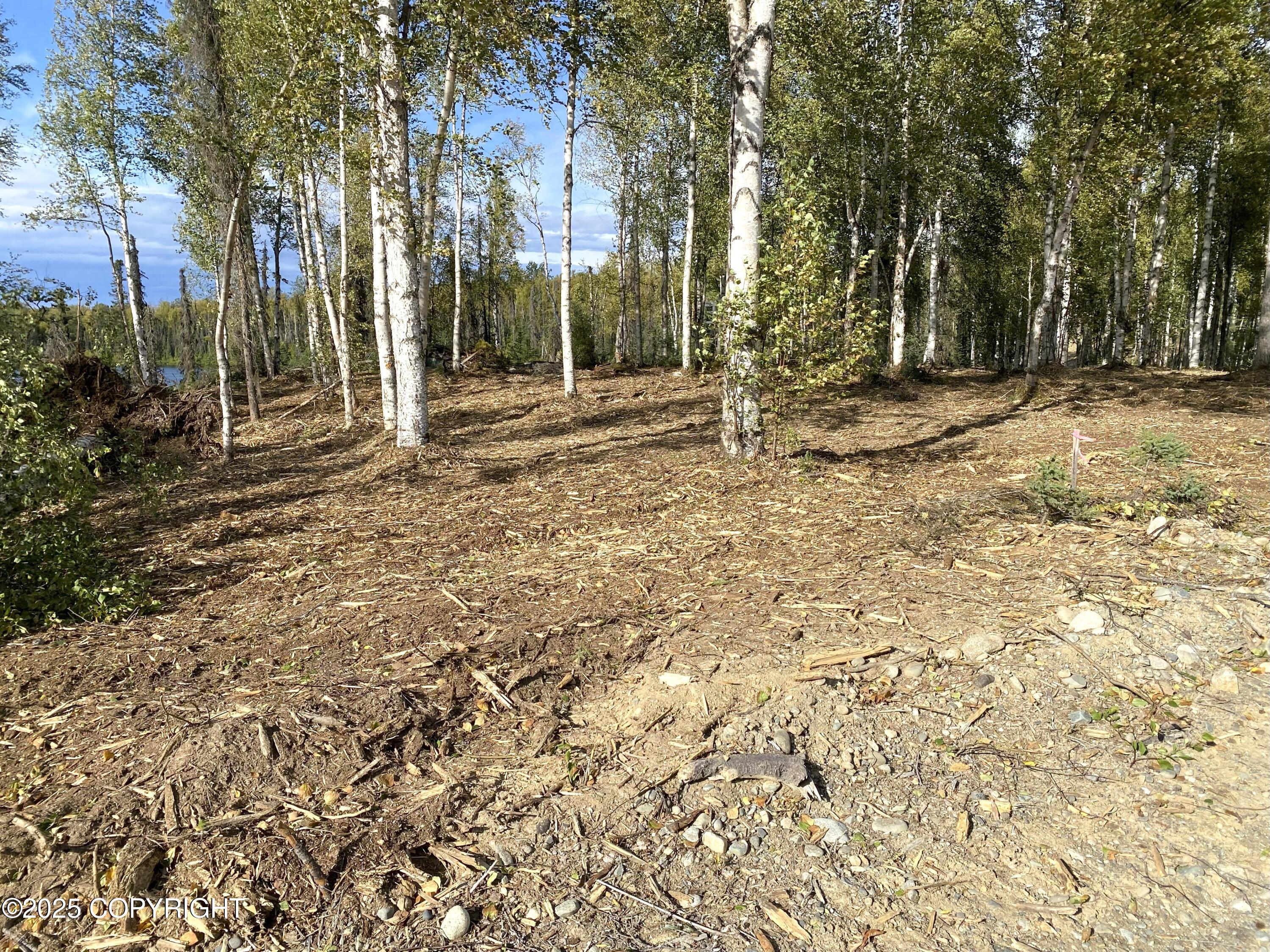 19531 E Good Land Drive Property Photo 3