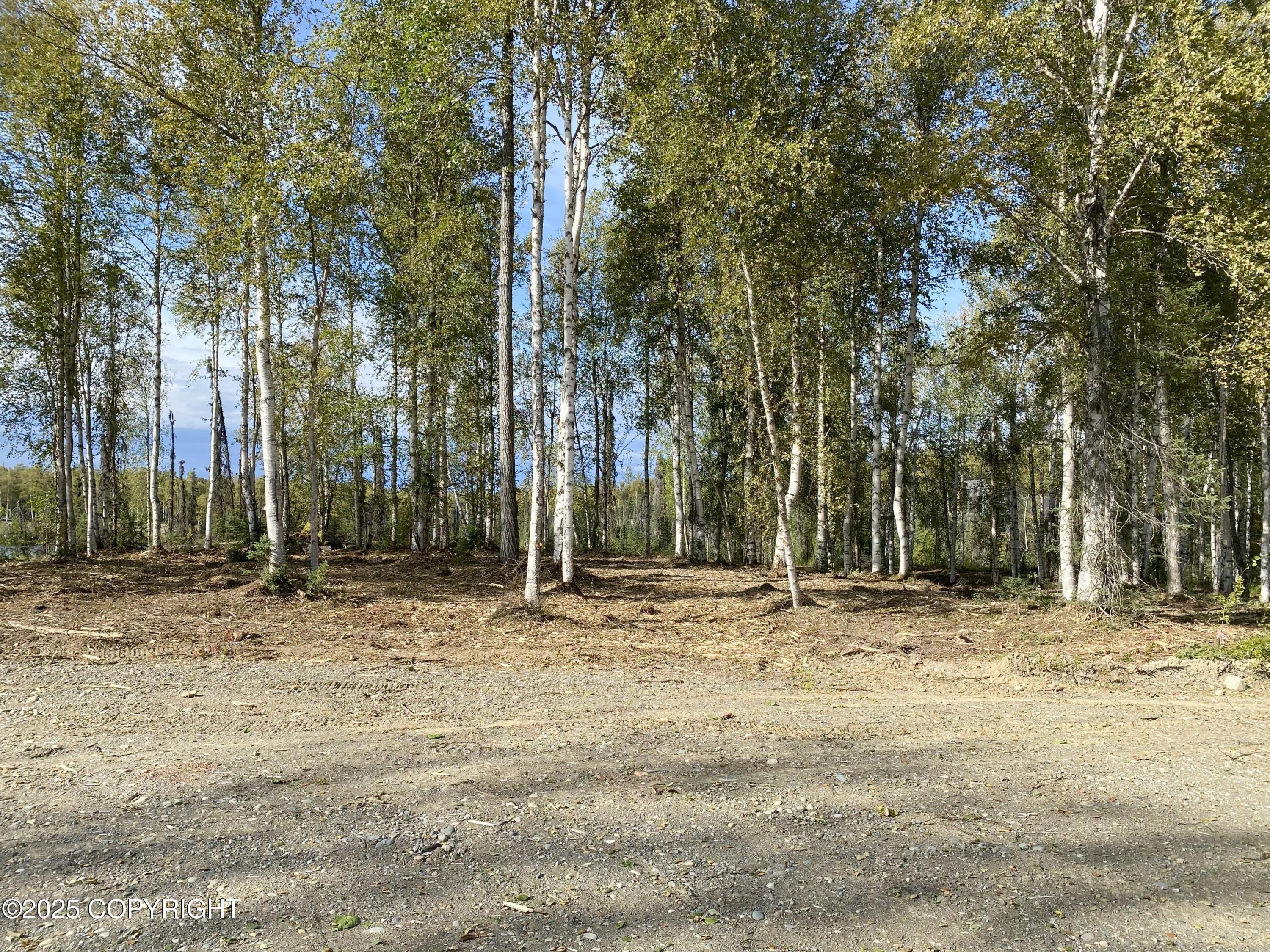19531 E Good Land Drive Property Photo 4