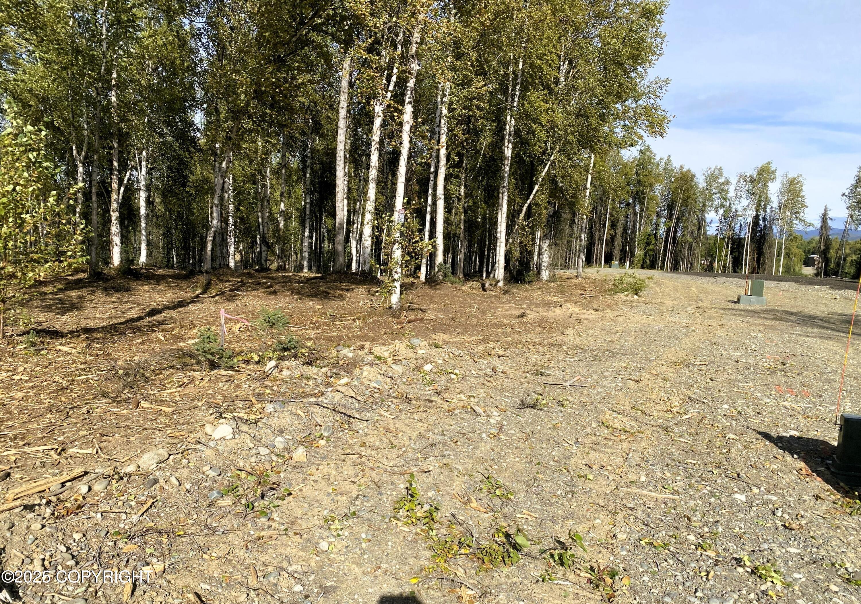 19531 E Good Land Drive Property Photo 6
