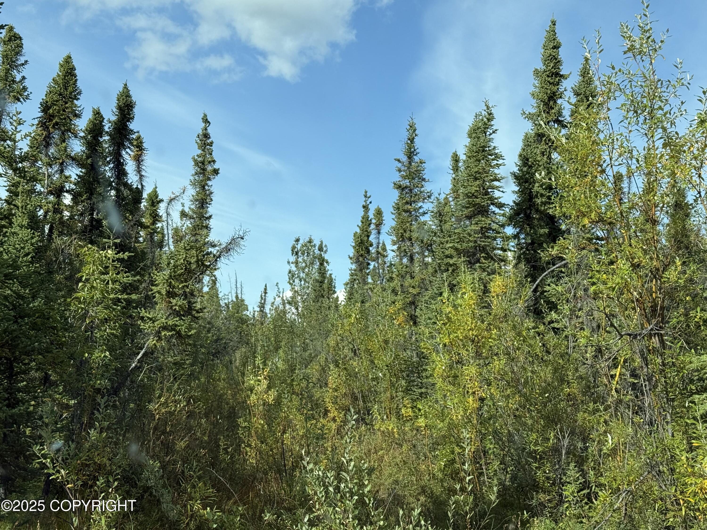 Mile 188.2 Glenn Highway Property Photo 1