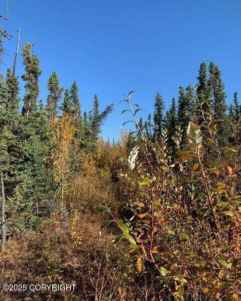 Mile 188.2 Glenn Highway Property Photo 4