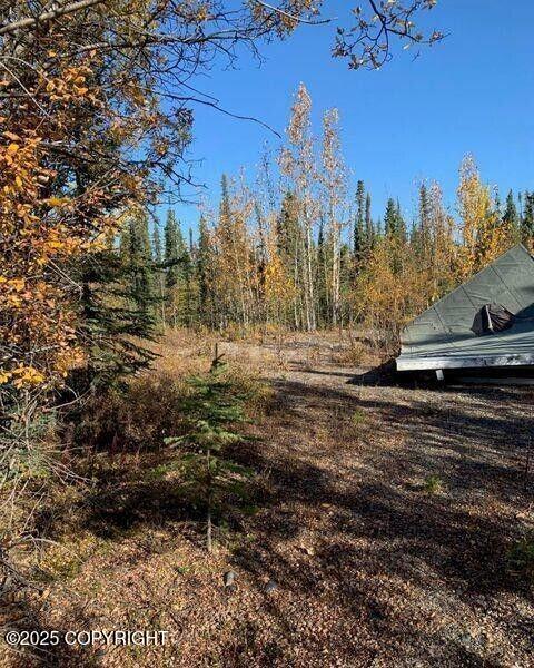Mile 188.2 Glenn Highway Property Photo 5