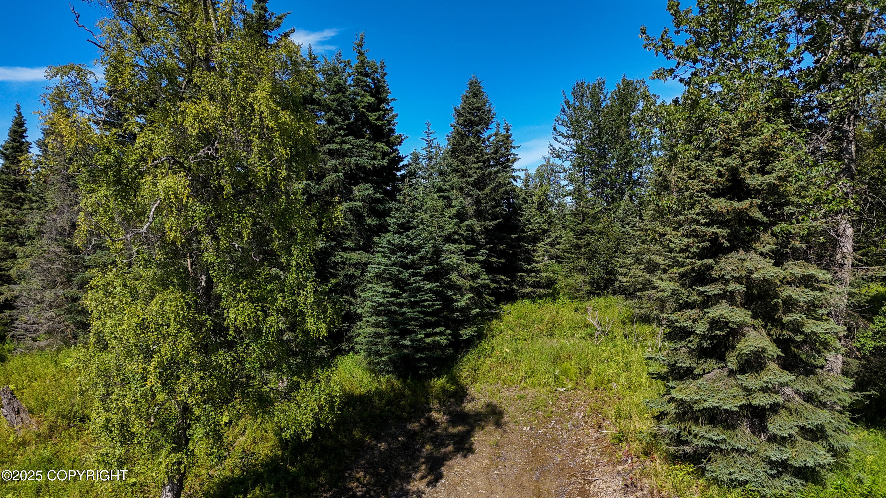 15466 Tovarish Road Property Photo 7