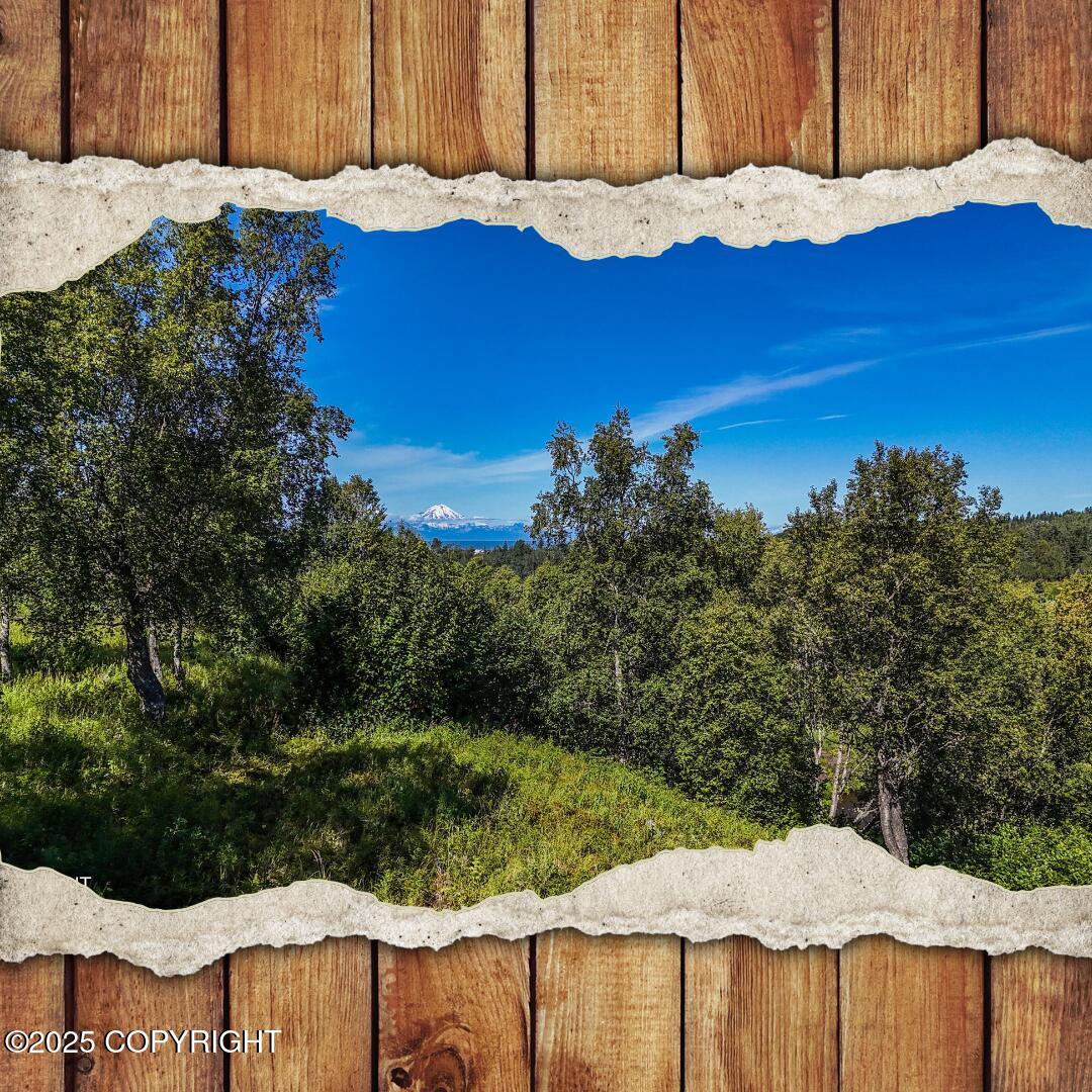 15522 Tovarish Road Property Photo 1