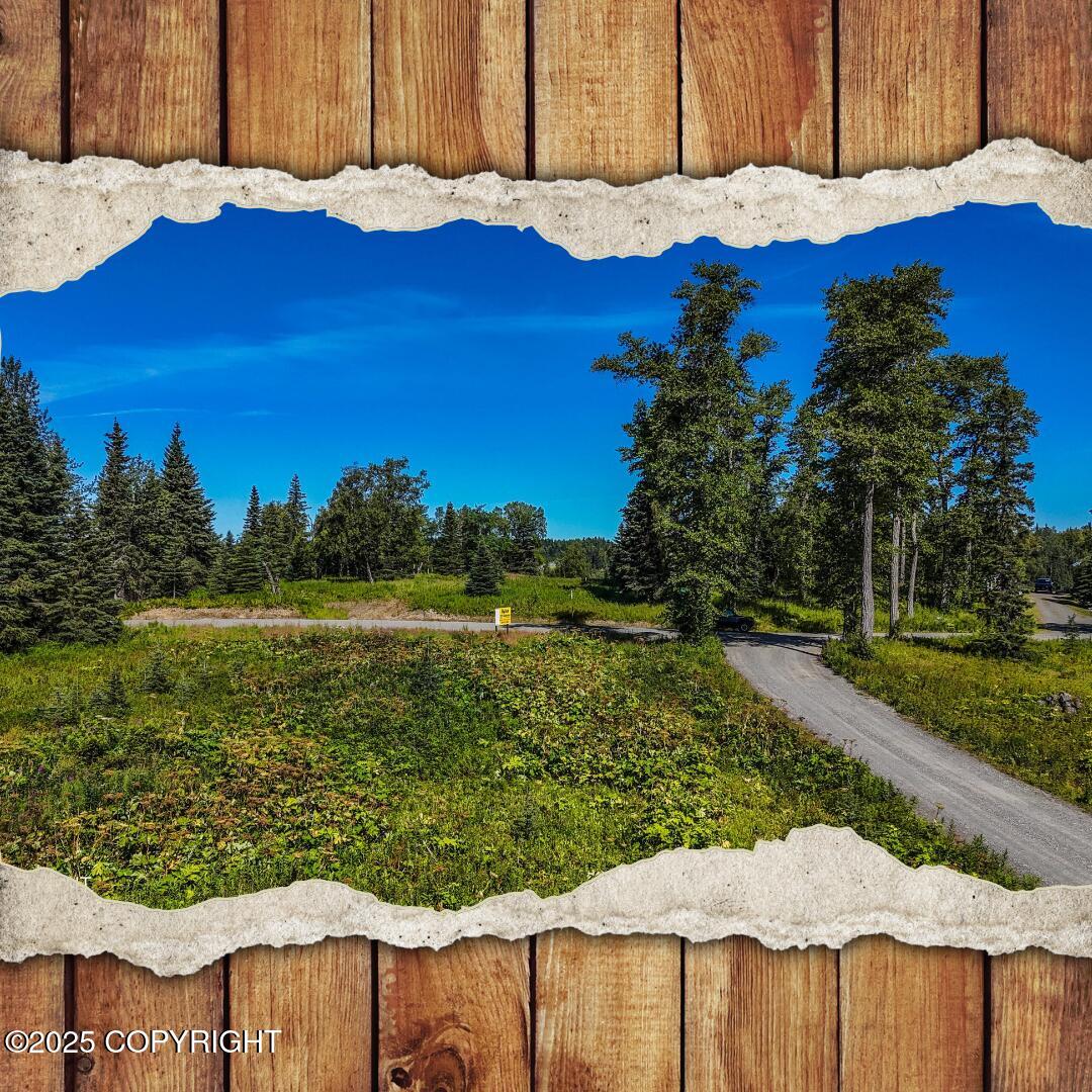 15515 Tovarish Road Property Photo 1