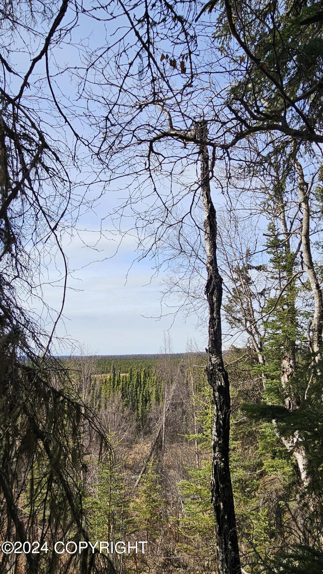 5263 Kenai Spur Highway Property Photo 4