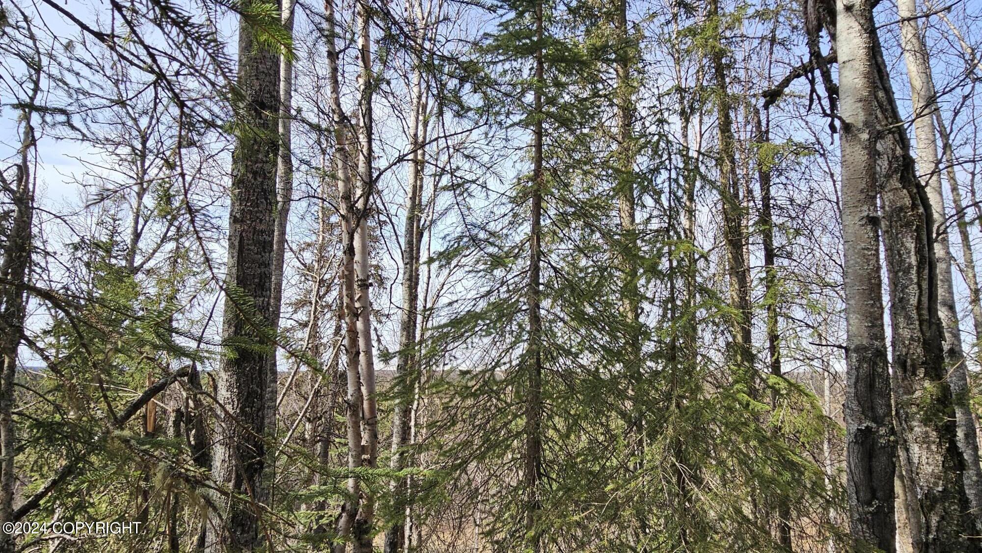 5263 Kenai Spur Highway Property Photo 5