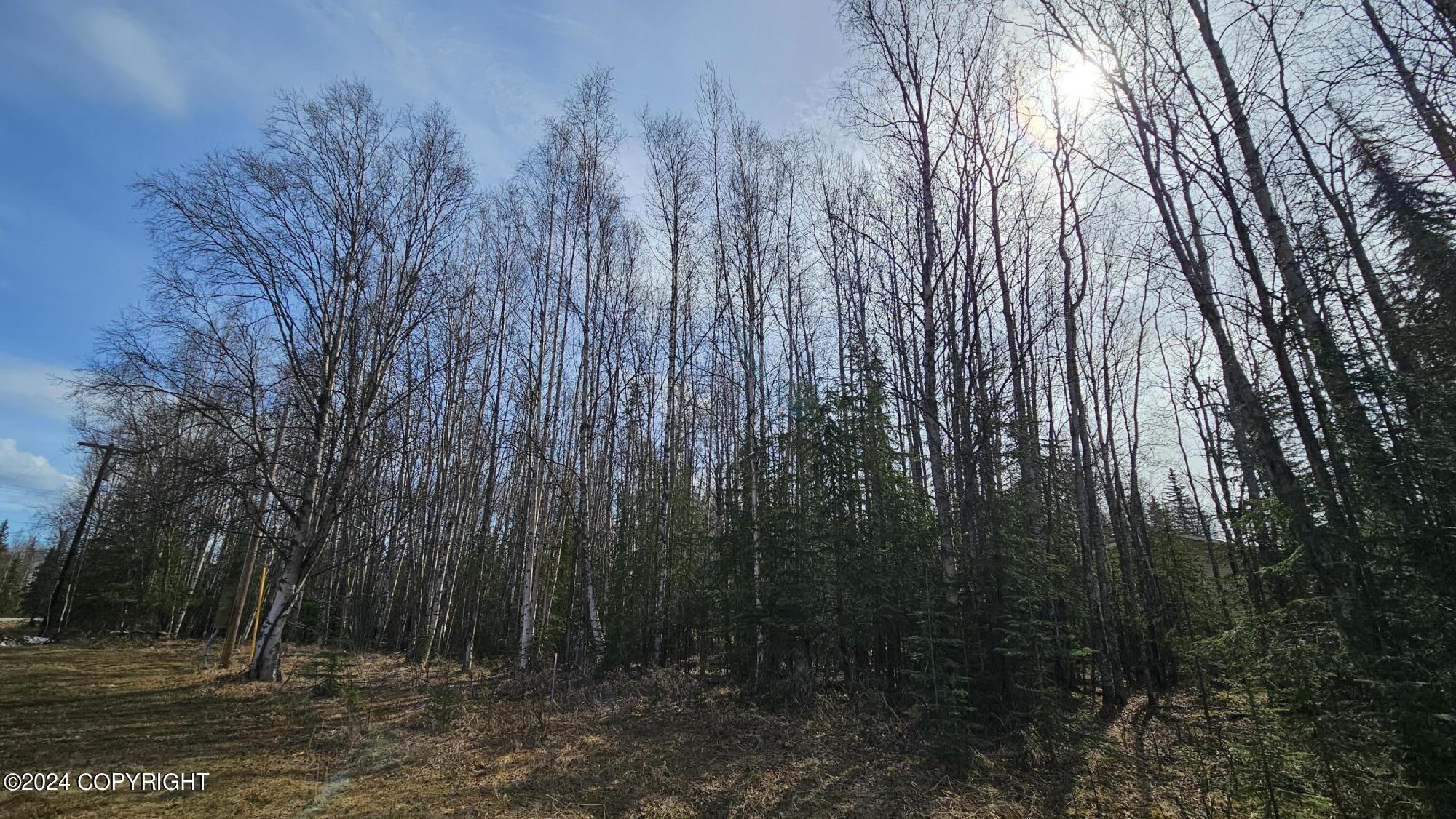 5263 Kenai Spur Highway Property Photo 7